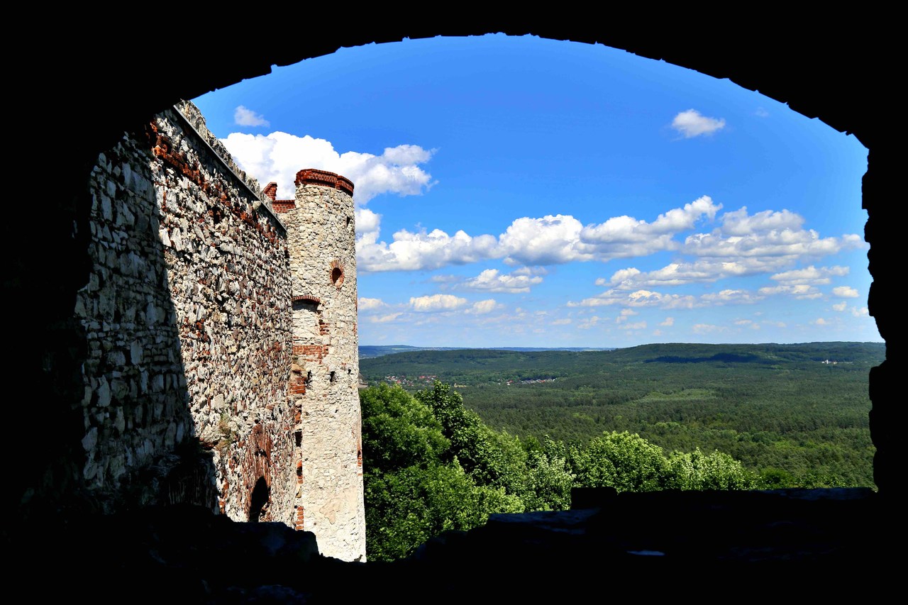 Zamek Tenczyn w Rudnie - widok na Puszczę Dulowską