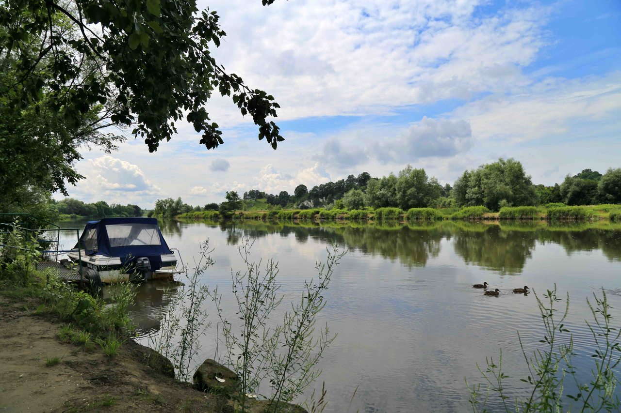 Widok na Wisłę w Tyńcu