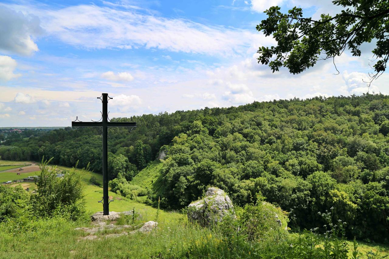 Widok ze Skały Kmity