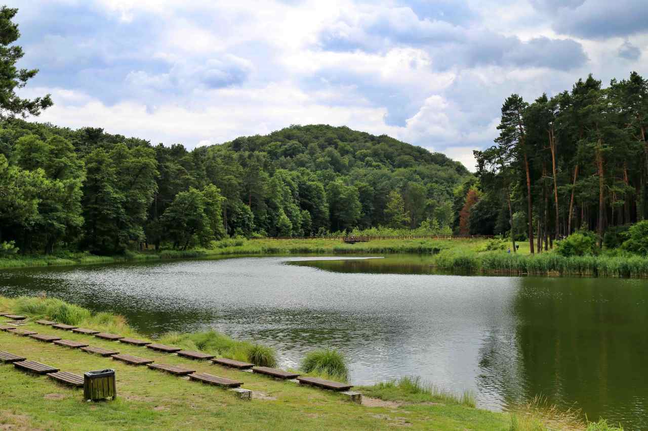 Złoty potok - staw