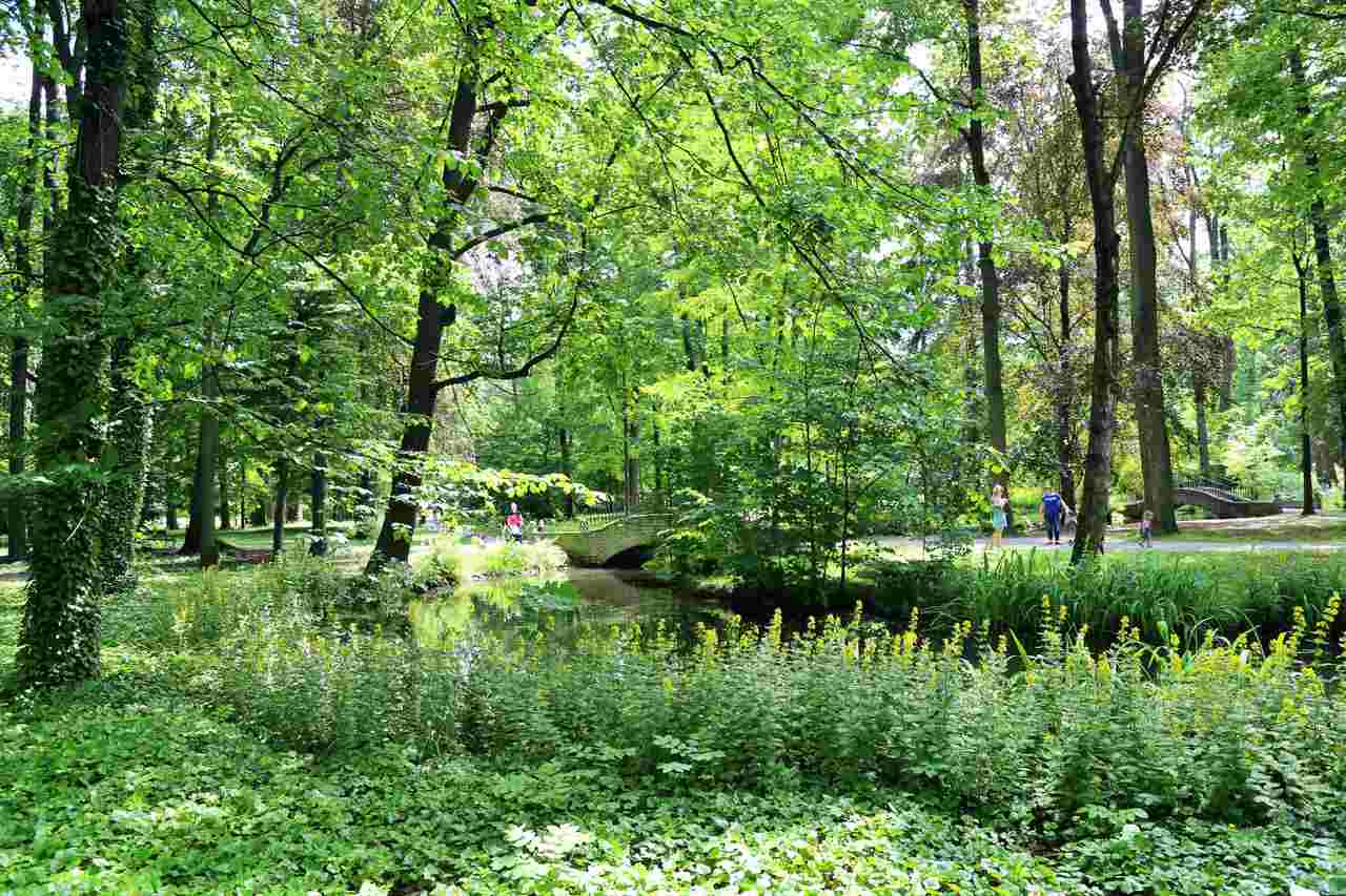 Żywiec - park