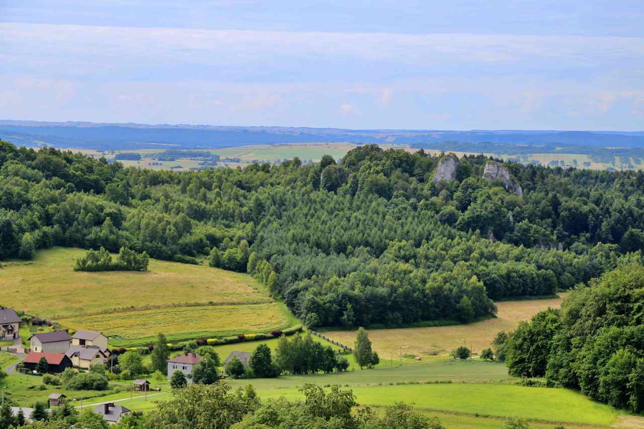 Skały Zegarowe - widok z zamku Pilcza