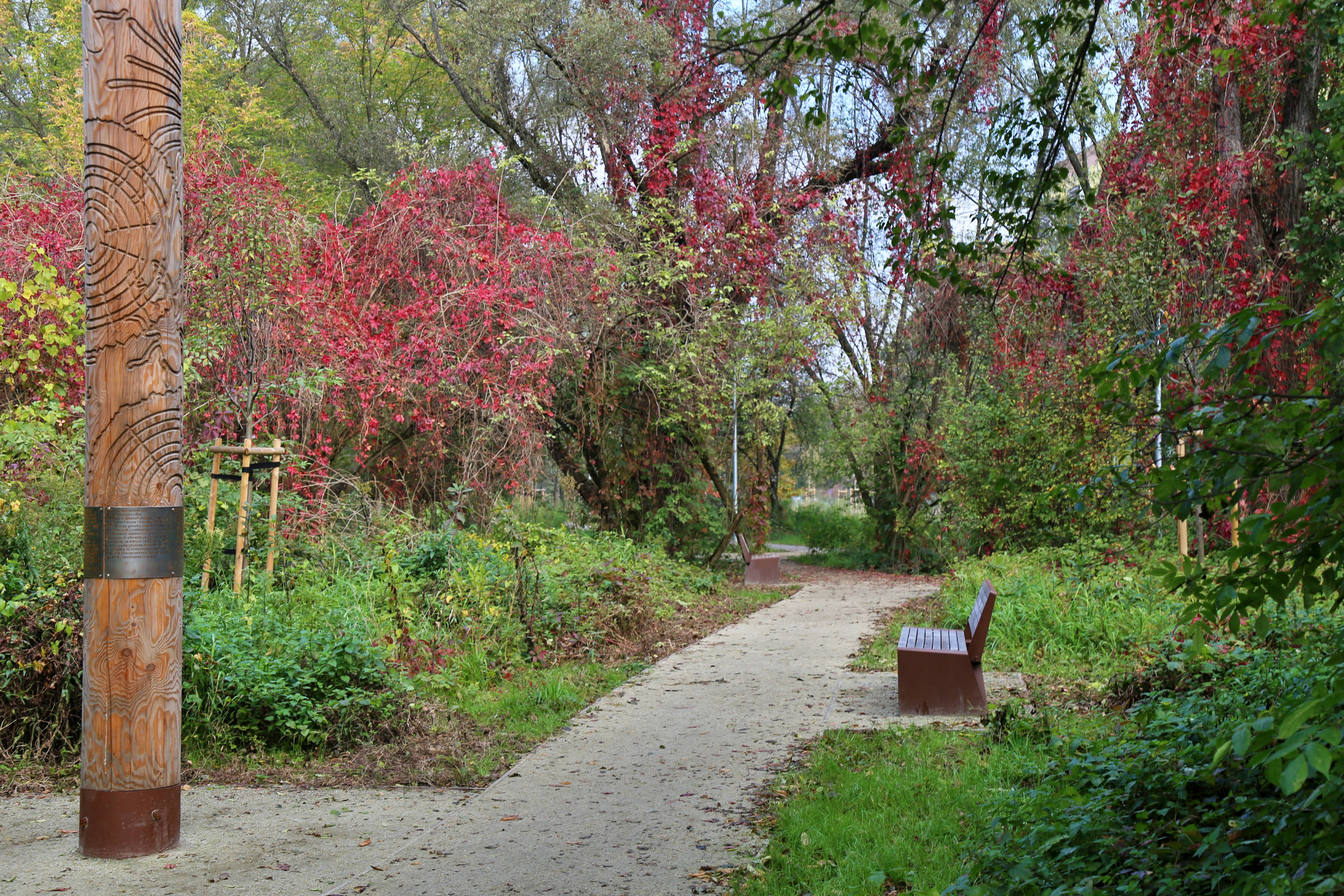 park rzeczny Wilga 2