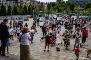 IMG_8047-min