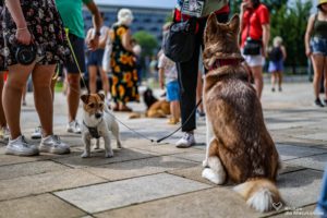 IMG_8072-min