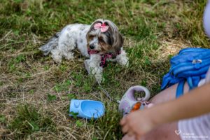 IMG_8577-min