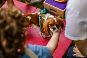 IMG_8592-min
