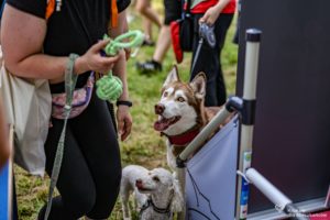 IMG_8652-min