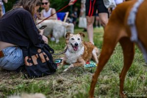 IMG_8691-min