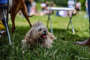 IMG_8931-min