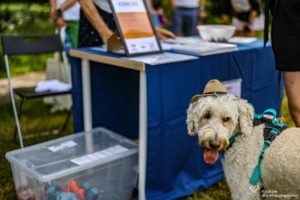 IMG_8962-min