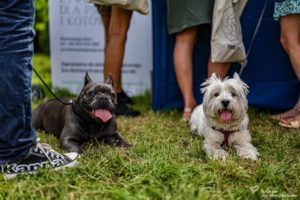 IMG_8993-min