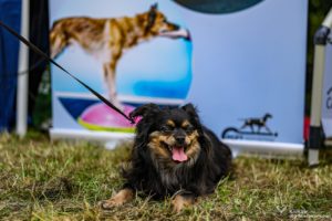 IMG_9008-min