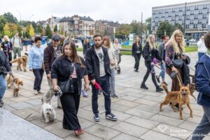 IMG_6637