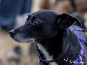 IMG_7204