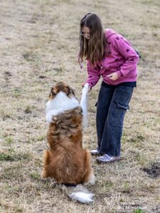 IMG_7248