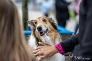 PJ053_056530