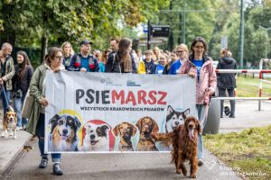 PJ_016690
