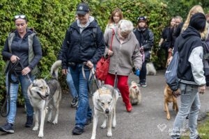 PJ_02616671