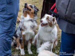 PJ_0267079