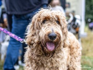 PJ_096920-2